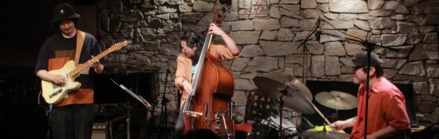美しい音色でジャズのジャンルを超えたレパートリーにギターの良さを再認識